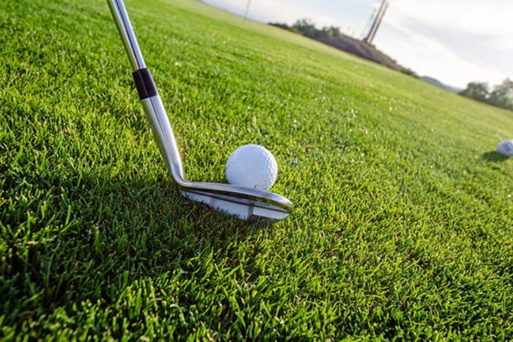 "Birdie" Bird That's Also a Term in Golf: What It Means and How to Achieve It? Bird That's Also a Term in Golf