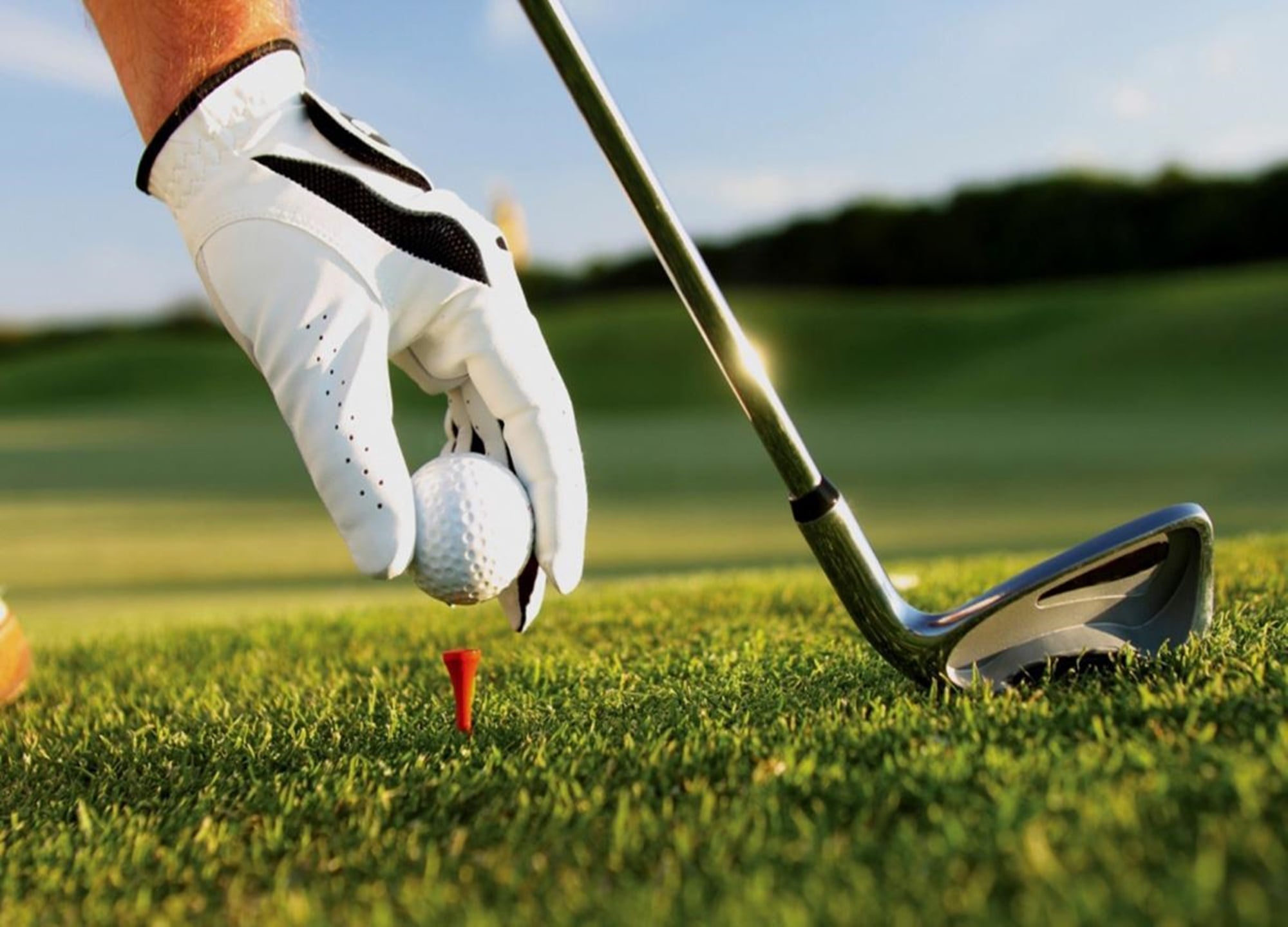 Mastering the Green: A Beginner’s Guide to the Rules of Golf